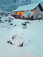 DOMKI NAD STRUMYKIEM - Domki całoroczne koło Soliny